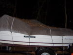 Click on one of the size names above to enlarge this image Click on one of the size names above to enlarge this image