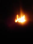 Click on one of the size names above to enlarge this image