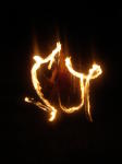 Click on one of the size names above to enlarge this image