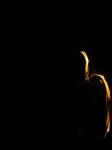Click on one of the size names above to enlarge this image