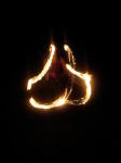 Click on one of the size names above to enlarge this image
