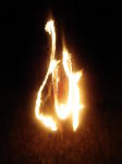 Click on one of the size names above to enlarge this image