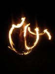 Click on one of the size names above to enlarge this image