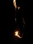 Click on one of the size names above to enlarge this image