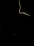 Click on one of the size names above to enlarge this image
